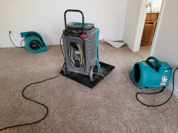Best Water damage restoration company  in St Francis, KS
