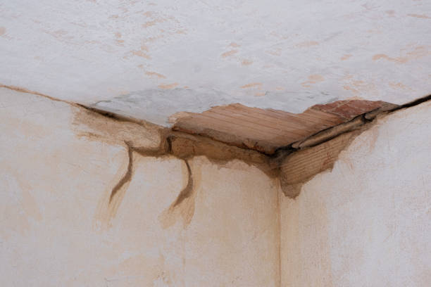 Best Flood restoration services  in St Francis, KS