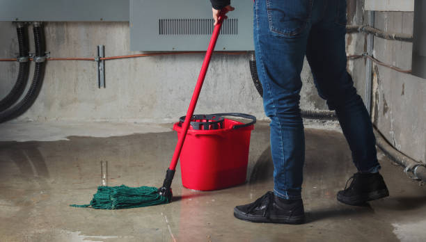  St Francis, KS Water damage restoration Pros
