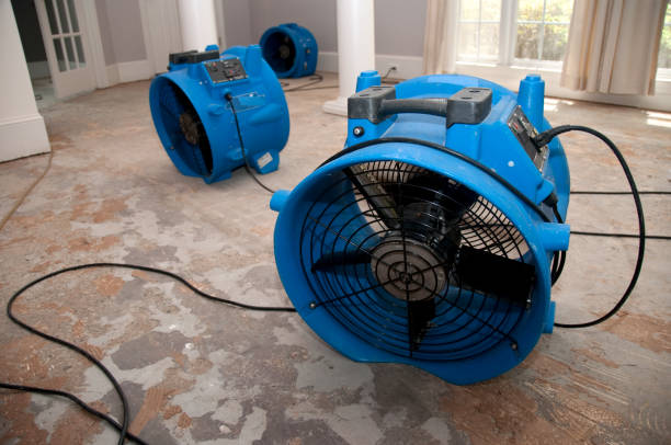 Best Carpet water damage restoration  in St Francis, KS