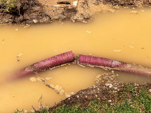 Best Water damage mitigation services  in St Francis, KS